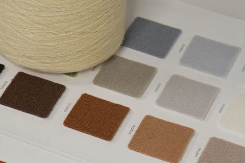 桐鄉(xiāng)你還藏著多少秘密