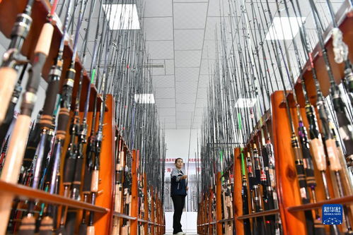 河北肅寧 小魚竿 釣出 國際大市場(chǎng)